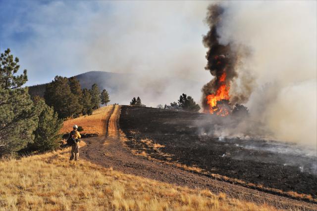 Roadways, rivers and other terrain features are often used to help establish resistant boundaries that allow for containment of a fire's spread. (Photo courtesy of the BLM)