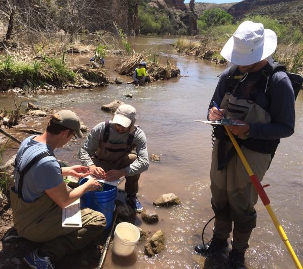 People standing and sitting in a creek with with buckets and scientific equipment