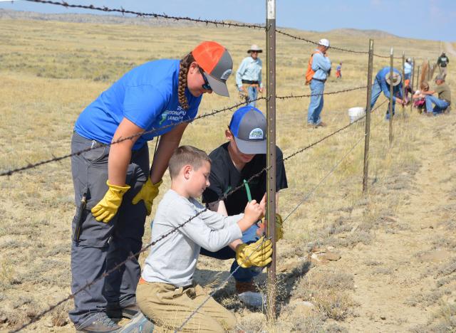 People repairing a fence.