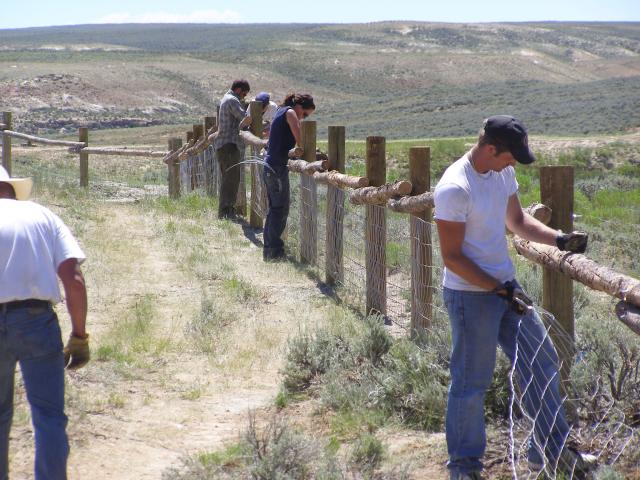 workers installing fencing