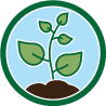 A graphic icon of vegetation