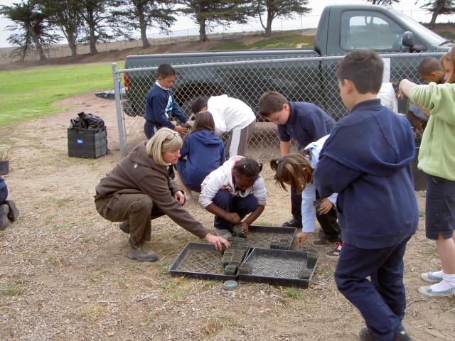 Sowing native seeds at Olson Elementary school. Students learn all about the restoration process at Fort Ord.