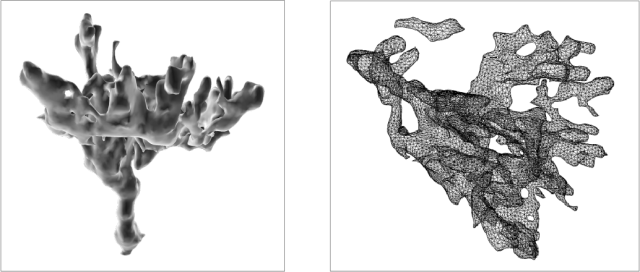 Left: Rendered CT scan 3-D image of a single pore system looking down towards the inner surface of the eggshell. Right: Mesh node view revealing the complex branching networks of tubes inside the eggshell as seen with the use of a Macro Imaging System. Photos courtesy of Dr. Sara Oser, a paleontologist at the University of Colorado Museum of Natural History and meteorology and oceanography officer for the U.S. Navy.
