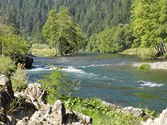 The Trinity River