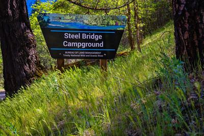 Steel Bridge Campground sign with grass and trees