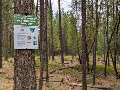 A sign posted on a tree at the entrance to a forest reading 'Inimim Forest Restoration Area"