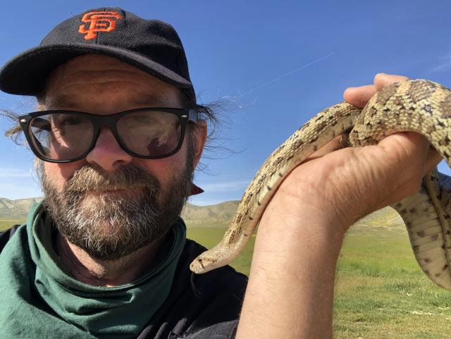 Michael Westphal at Carrizo Plain National Monument in the snake picture, supporting our thermal telemetry project, holding a Pacific Gophersnake. 
