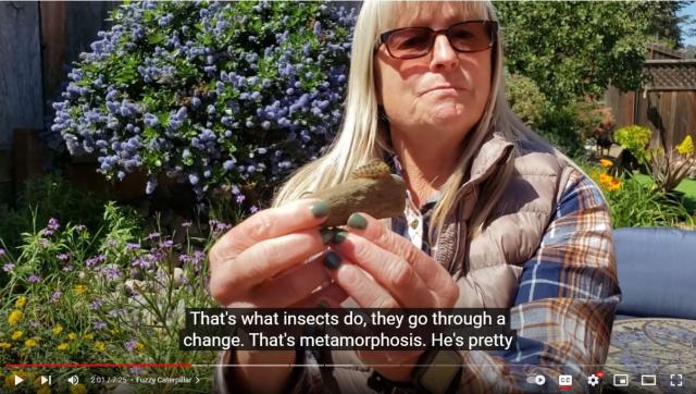 Screenshot of Ranger Tammy's youtube videos. She is holding a caterpillar 