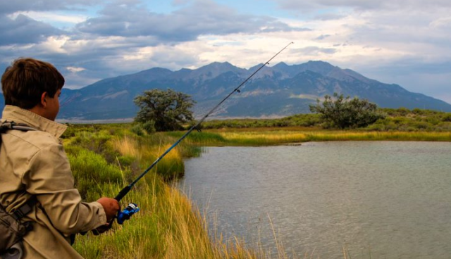 A man fishes in a small pond.