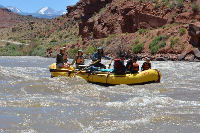 Yellow rafts full of people in floating in rapids on a river.