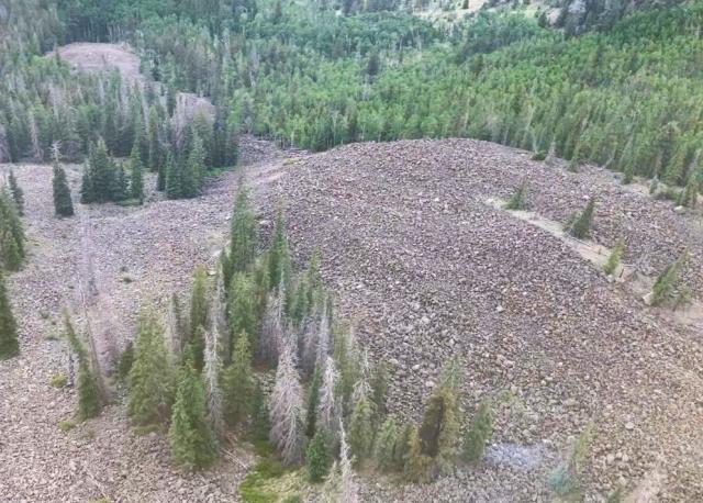 Nourse Fire burns in a small stringer of mixed conifers in the Powderhorn Wilderness.
