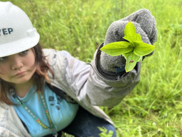 A teenager holds up a ladybug.