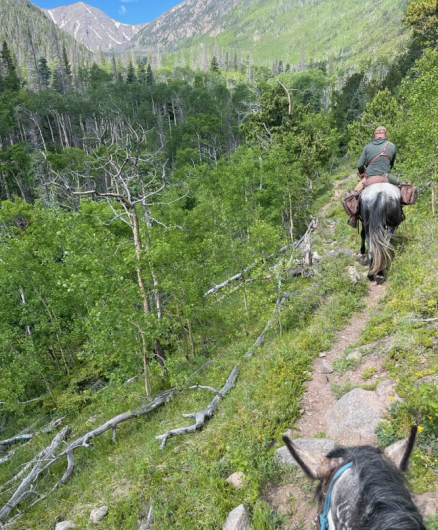 A man on a horse rides on a trail through the mountains. 