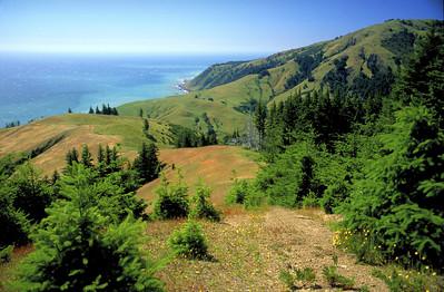 A spectacular meeting of land and sea, with lush green conifers on cliff tops. 