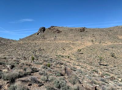 A desert wash with blue sky.