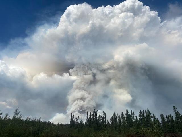 A picture  of the large smoke column from the Lost Horse Creek Fire #296 behind a silhouetted forest.