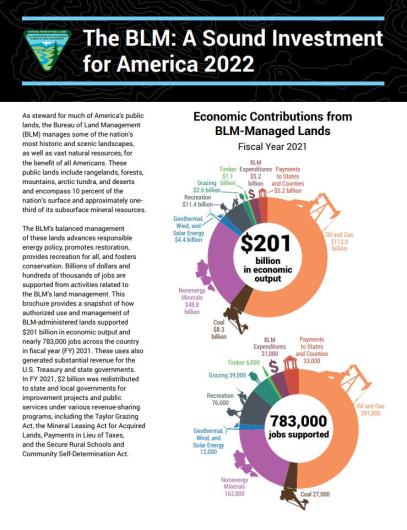 The cover of The BLM: A Sound Investment for America 2022