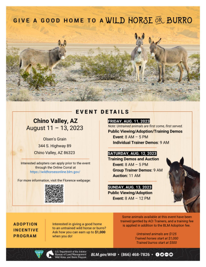 Event Flyer for Wild Horse and Burro Event - 3 burros on desert landscape featured at the top quarter of page. Horse image featured at lower right.