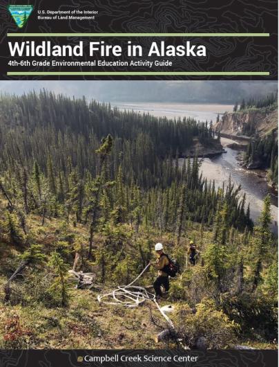 Wildland fire fighters work a hillside covered in spruce trees overlooking a body of water.