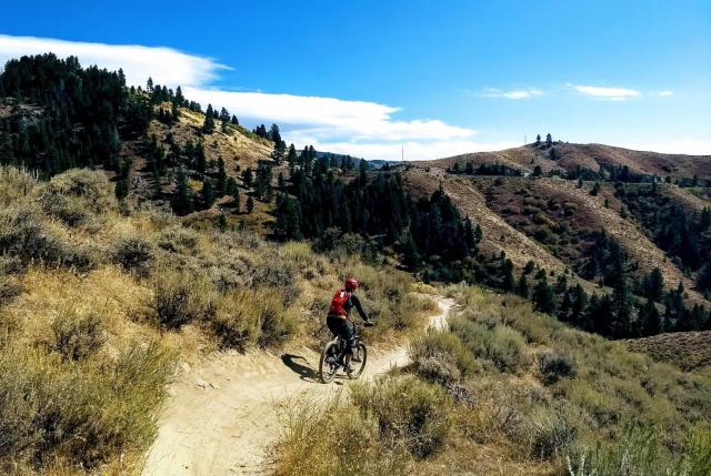 Mountain biker on hillside within BLM Four Rivers Field Office jurisdiction