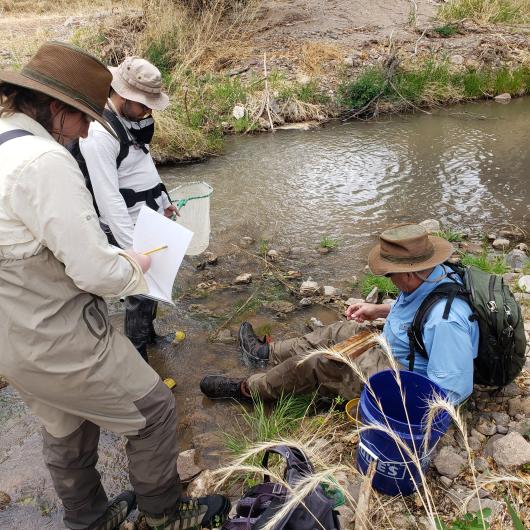 Two people standing in a stream wearing waders and hats. One of the two has a net and the other is recording data. A third person sits on the streambank with his feet in the water.