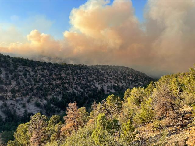 Little Mesa Fire burns in Dominguez-Escalante NCA. Photo Credit: Ian Muirhead