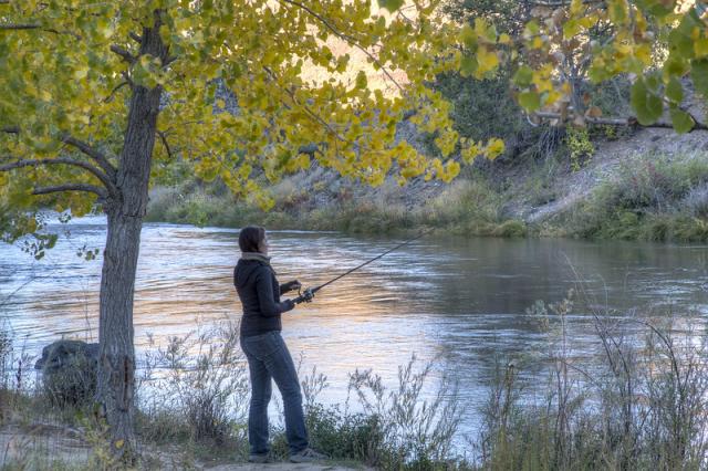 An angler casts from the wooded bank of the Rio Grande del Norte River in New Mexico