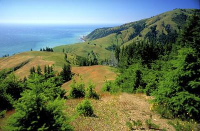 A forest and meadow amidst rolling hills leading down to the Pacific ocean.