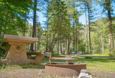 A fire pit and picnic table in the forest