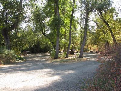 A campground with tall trees and a table.