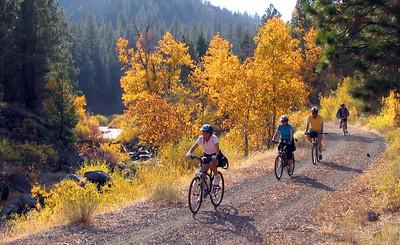 Cyclists ride a dirt road amidst yellow trees.