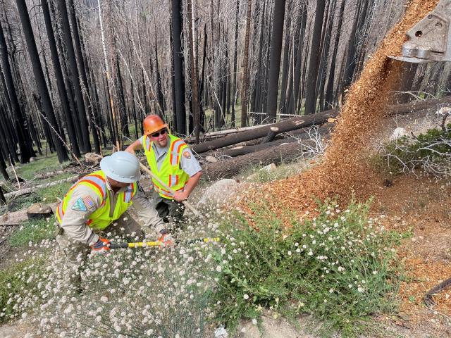 BLM Park Ranger Arturo Casarez and NPS Park Ranger Adam Pegorsch spread wood chips 