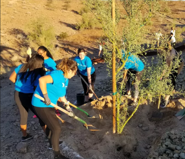 People wearing blue shirts volunteer outdoors.