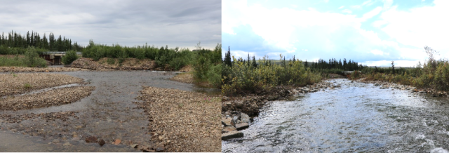 Little Nome Creek before and after restoration