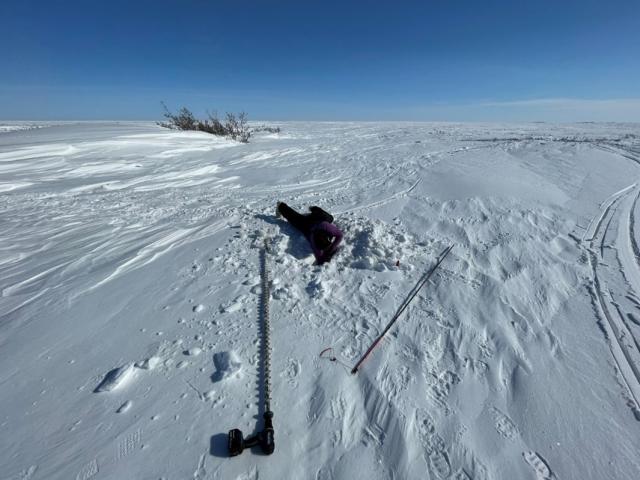 Successfully finding water through five feet of snow and six feet of ice at a potential overwintering site on Fish Creek.