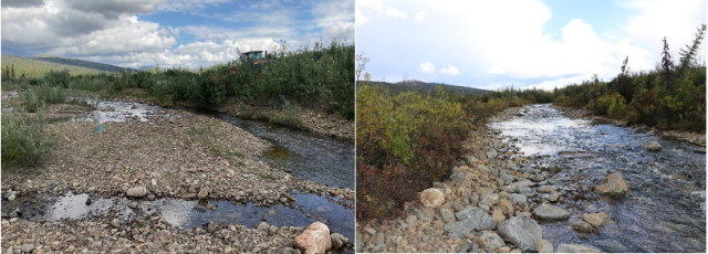 Two photos of Upper Nome Creek showing before and after restoration efforts.