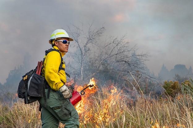 Fire fighter tending to a prescribed burn