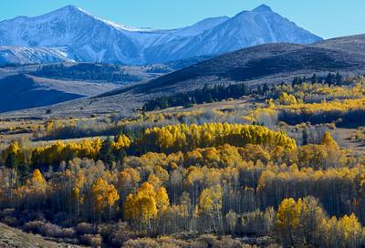 Bright fall colors under tall mountains