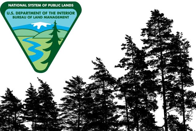 BLM logo with trees
