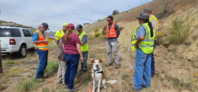 Photo shows a desert landscape with a white suburban parked on the left, eight people standing around roughly in a circle, most of them with yellow or orange safety vests on, and Belle, the service dog, sitting looking at the photographer.