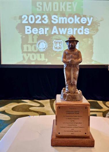 The Bronze Smoke Award trophy sits on a desk.