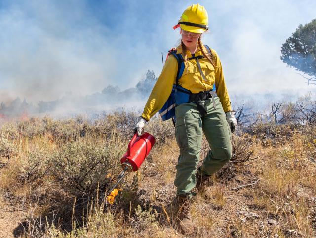 Firefighter lighting a prescribed burn with a torch. (BLM)