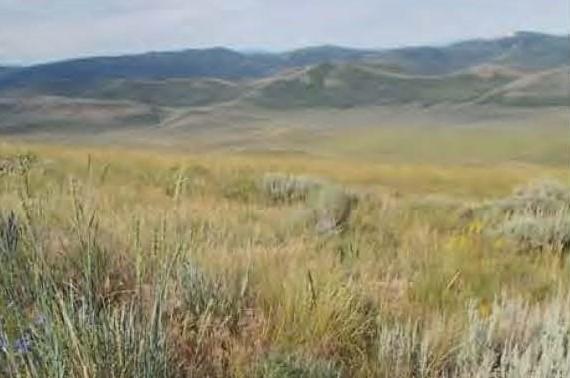 The proposed Caldwell Canyon Revised Mine project area in southeastern Idaho. (BLM)