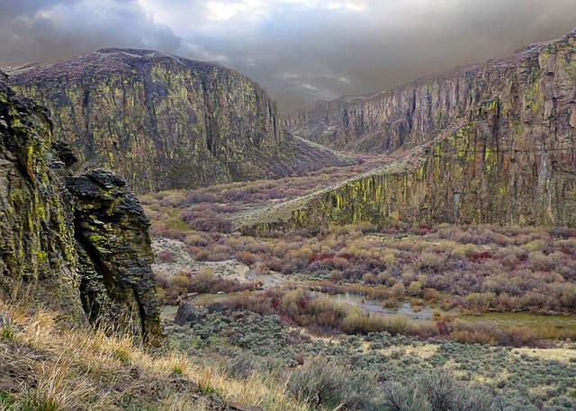 Owyhee mountains near the Pole Creek Wilderness Area