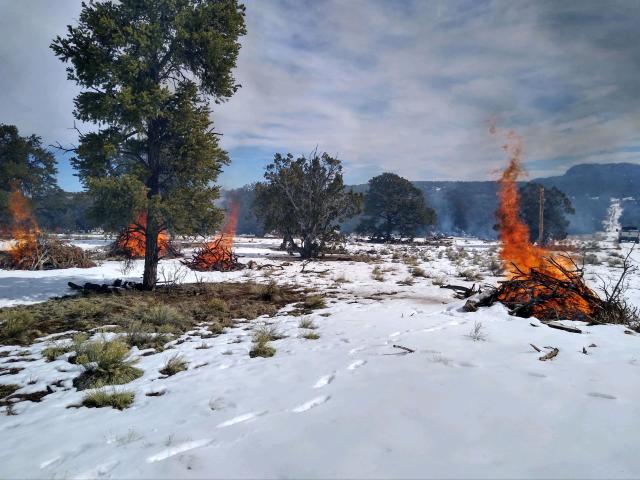 Photo of Pie Town Pile Burn