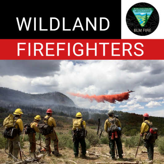 Text that reads Wildland Firefighters with a photo of firefighters watching an aircraft drop retardant on a fire.