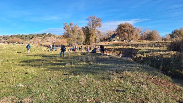 A group of people planting trees on a hill near Bear River.