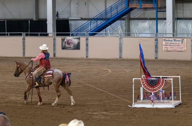 Woman on horseback in an arena with obstacles set up for a competition