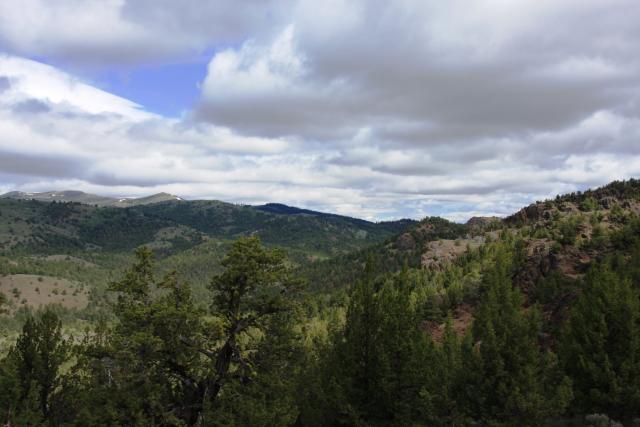 North Fork of Owyhee Wilderness