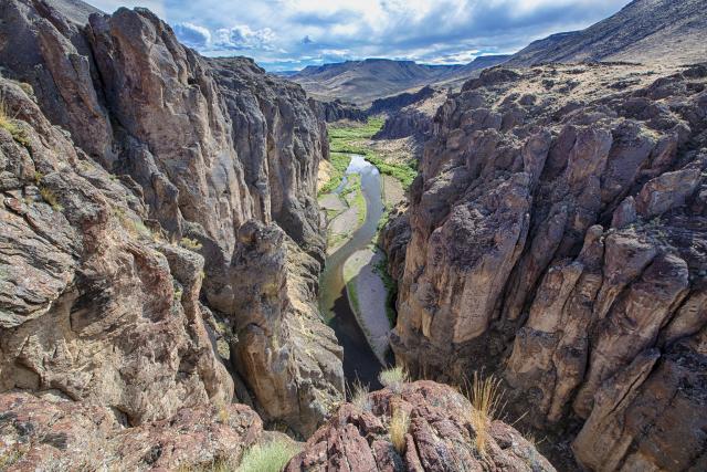 The North Fork of the Owyhee river winding through a canyon.